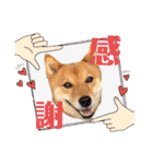 モコスタンプの巻1（個別スタンプ：9）