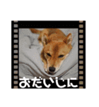 モコスタンプの巻1（個別スタンプ：19）