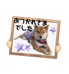 モコスタンプの巻1（個別スタンプ：27）