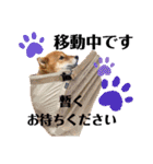 モコスタンプの巻1（個別スタンプ：29）
