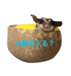 ももすけの日常で使えるスタンプ！まとめ版（個別スタンプ：4）