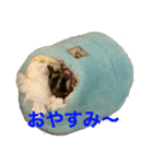 ももすけの日常で使えるスタンプ！まとめ版（個別スタンプ：8）