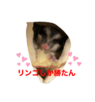 ももすけの日常で使えるスタンプ！まとめ版（個別スタンプ：28）