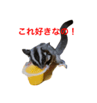 ももすけの日常で使えるスタンプ！まとめ版（個別スタンプ：29）