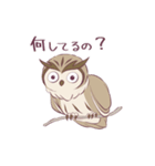 ベンガルワシミミズクの日常（個別スタンプ：1）