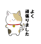 丁寧で褒め上手な三毛猫ちゃん（個別スタンプ：8）