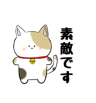 丁寧で褒め上手な三毛猫ちゃん（個別スタンプ：17）