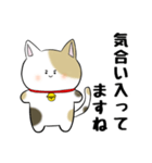 丁寧で褒め上手な三毛猫ちゃん（個別スタンプ：37）