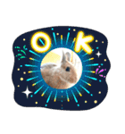 うさぎのルカ よく使うスタンプ(ネザー)（個別スタンプ：15）