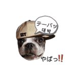 推し活★楽チン韓国語（個別スタンプ：11）
