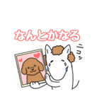 トイプードルに憧れる犬（個別スタンプ：5）