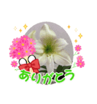 ベンジャミー（個別スタンプ：1）