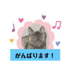 ベンジャミー（個別スタンプ：2）