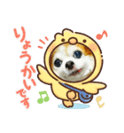 チワワのchapi part1（個別スタンプ：3）