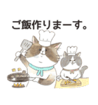 毎日使える☆もふもふ猫スタンプ（個別スタンプ：38）