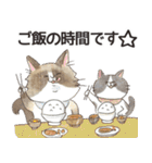 毎日使える☆もふもふ猫スタンプ（個別スタンプ：39）