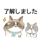 毎日使える☆もふもふ猫スタンプ（個別スタンプ：40）