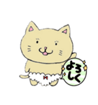 ねこぱんつ(NEKOPANTSU)（個別スタンプ：1）