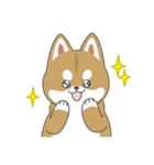 まるっと柴犬 赤（個別スタンプ：6）