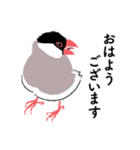 ふみ文鳥（個別スタンプ：2）