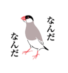 ふみ文鳥（個別スタンプ：5）