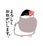 ふみ文鳥（個別スタンプ：9）