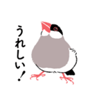 ふみ文鳥（個別スタンプ：12）