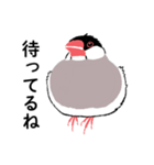 ふみ文鳥（個別スタンプ：14）