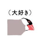 ふみ文鳥（個別スタンプ：20）