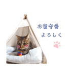 のあねろ⑤（個別スタンプ：33）