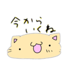 丸ねこくん（個別スタンプ：3）