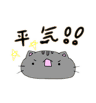 丸ねこくん（個別スタンプ：14）