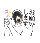 Japanese dog 『天』（個別スタンプ：25）