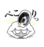 Japanese dog 『天』（個別スタンプ：26）