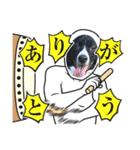Japanese dog 『天』（個別スタンプ：28）