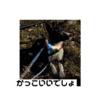 Japanese dog 『天』（個別スタンプ：34）