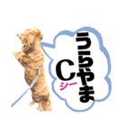 lovelyダックス・Friendsパート2（個別スタンプ：6）