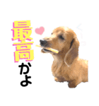 lovelyダックス・Friendsパート2（個別スタンプ：9）