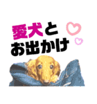 lovelyダックス・Friendsパート2（個別スタンプ：31）