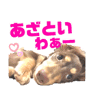lovelyダックス・Friendsパート2（個別スタンプ：32）