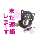 lovelyダックス・Friendsパート2（個別スタンプ：38）