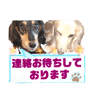 lovelyダックス・Friendsパート2（個別スタンプ：39）