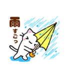 しろねこ♡梅雨から夏♡気持ちを伝えよう（個別スタンプ：13）