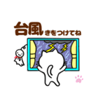 しろねこ♡梅雨から夏♡気持ちを伝えよう（個別スタンプ：14）