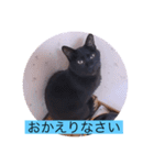 ガッシーねこーずシリーズ⑦くま（個別スタンプ：8）