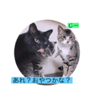 ガッシーねこーずシリーズ⑦くま（個別スタンプ：33）