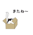 続 うちのねこきなこさん（個別スタンプ：20）