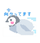 ドット絵♬ペンギンと夏の風物詩（個別スタンプ：39）