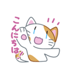 ハレねこさん（個別スタンプ：1）