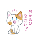 ハレねこさん（個別スタンプ：3）